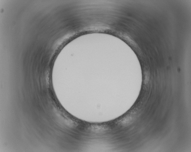 X0000060800632200512082151