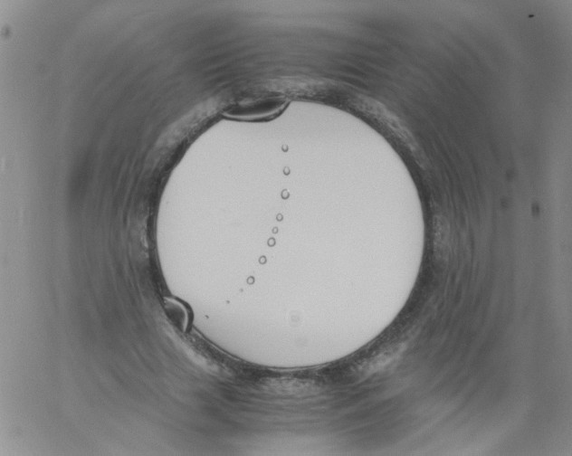 X0000060800633200512082151