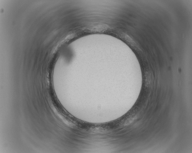 X0000060800634200512082151