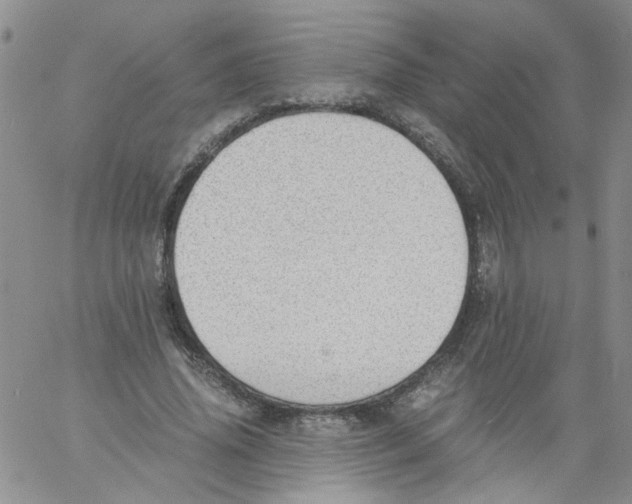 X0000060800636200512082151