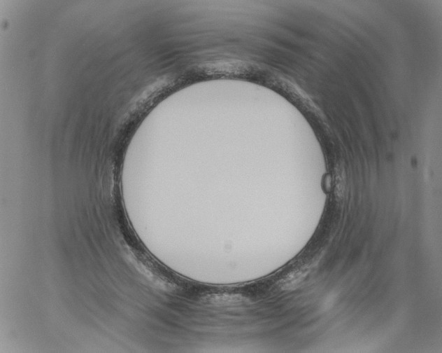 X0000060800637200512082151