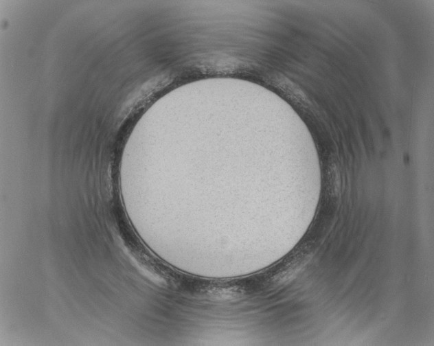 X0000060800638200512082151