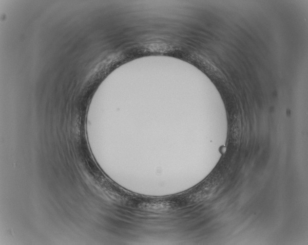 X0000060800639200512082151