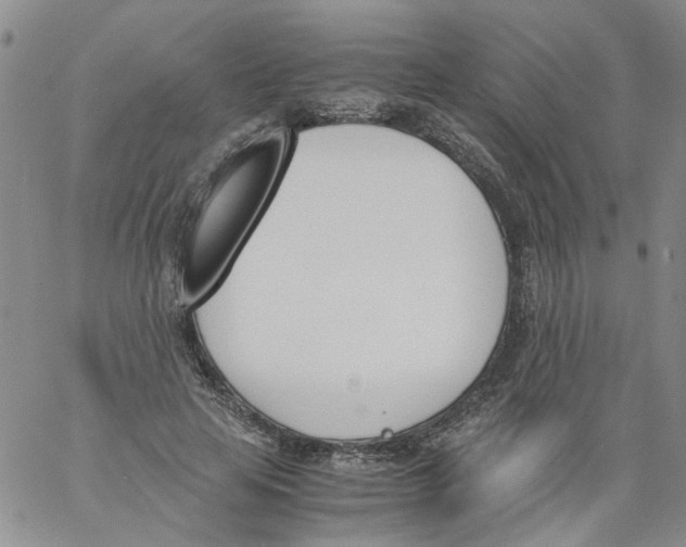 X0000060800641200512082151