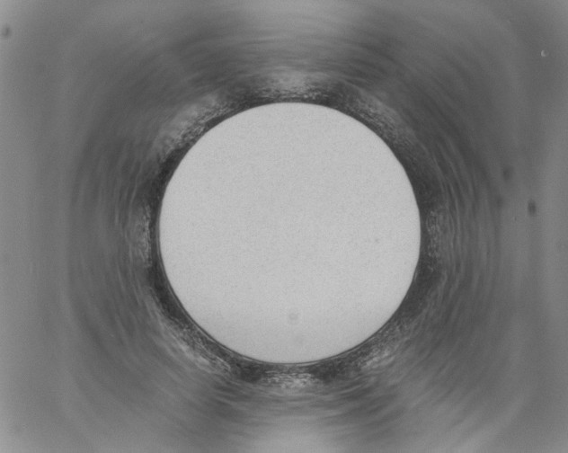 X0000060800642200512082151