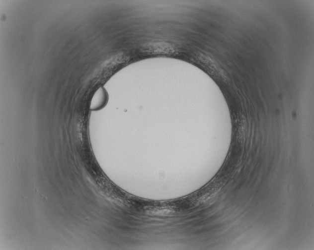 X0000060800643200512082151