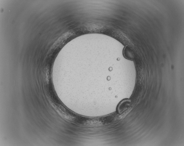 X0000060800644200512082151