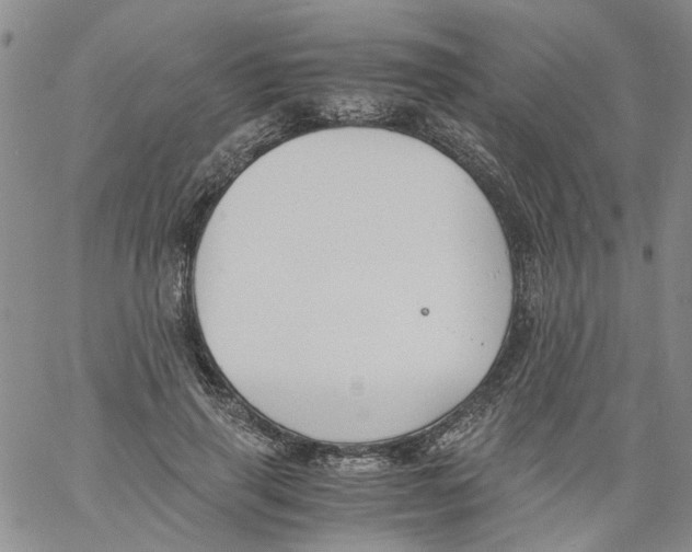 X0000060800645200512082151