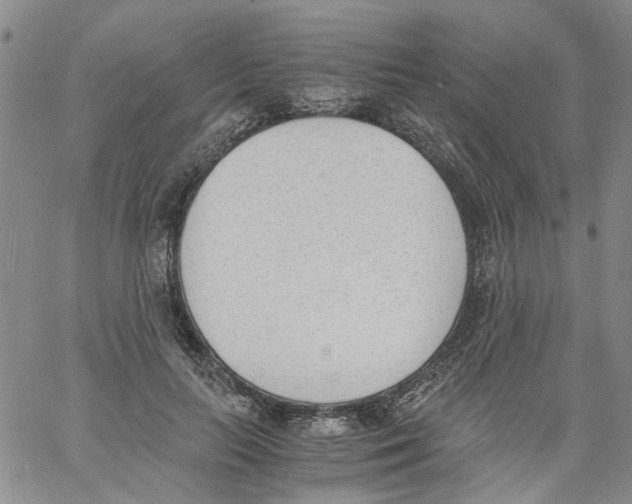 X0000060800647200512082151