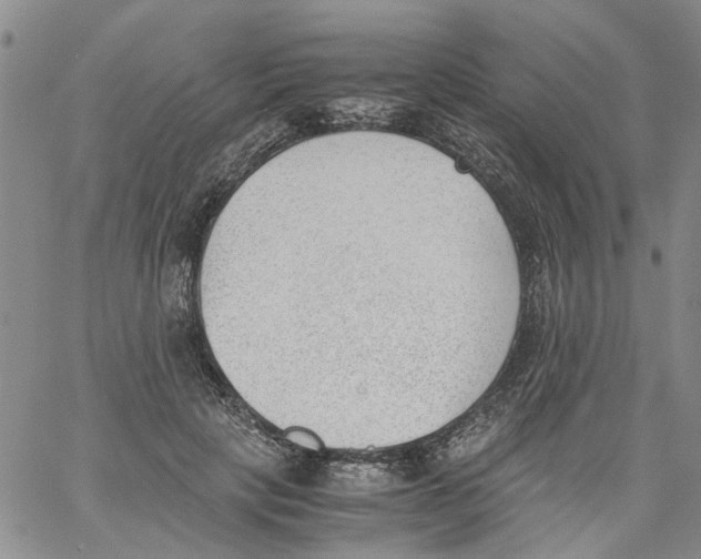 X0000060800649200512082151