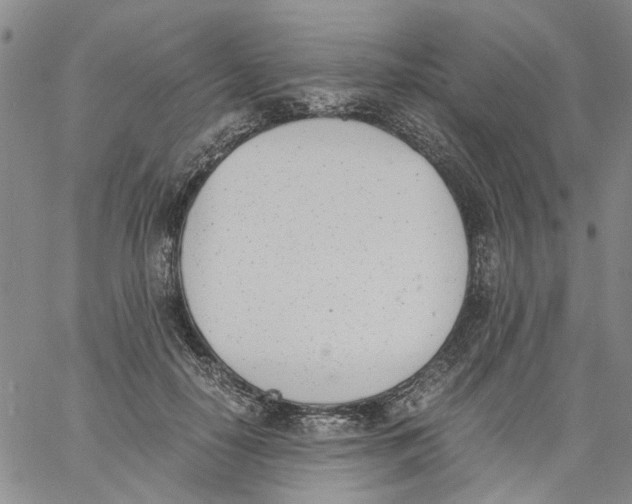 X0000060800650200512082151