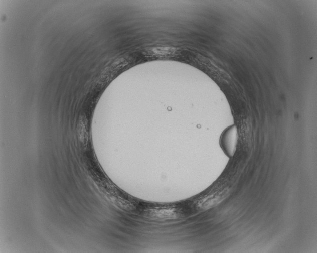 X0000060800651200512082151