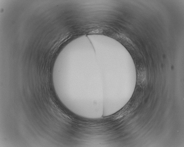 X0000060800652200512082151