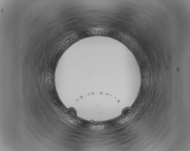 X0000060800653200512082151