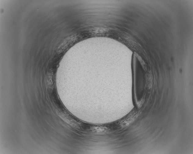 X0000060800654200512082151