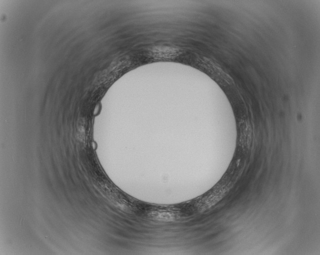 X0000060800655200512082151