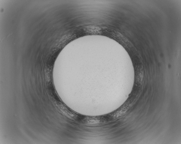 X0000060800658200512082151