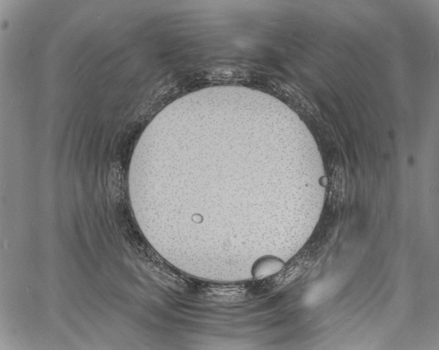 X0000060800659200512082151