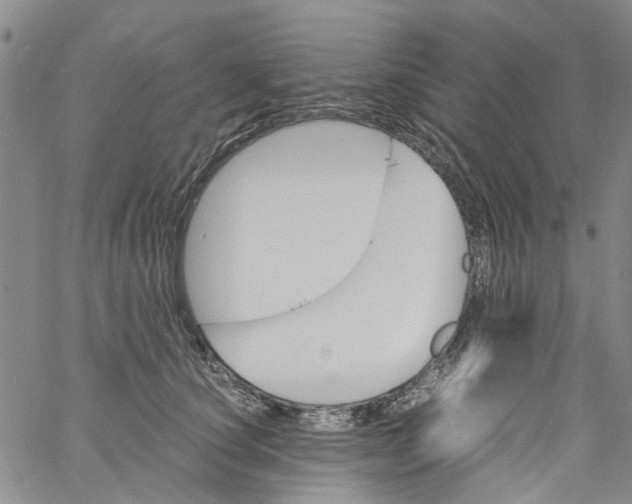 X0000060800660200512082151