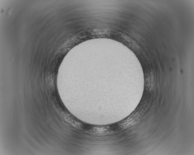 X0000060800662200512082151