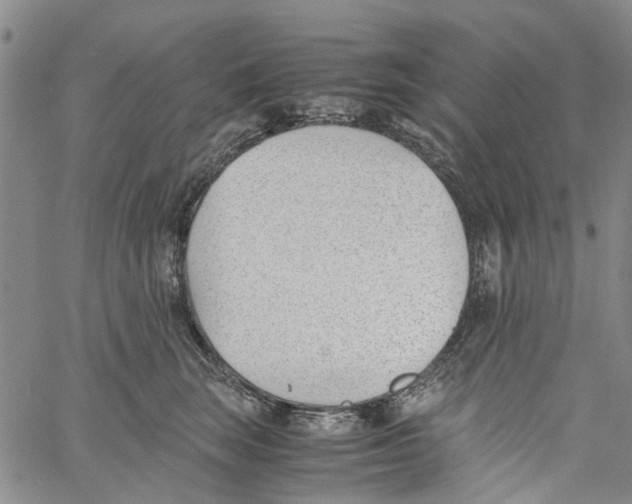 X0000060800663200512082151