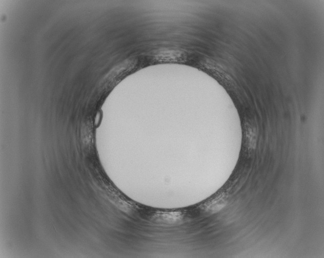 X0000060800665200512082151