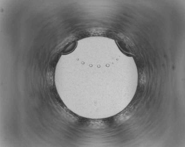 X0000060800666200512082151