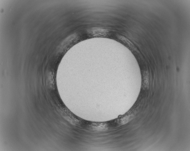 X0000060800667200512082151