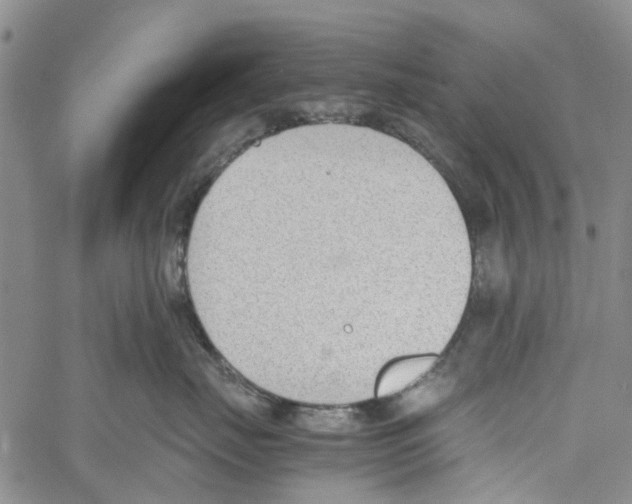 X0000060800671200512082151