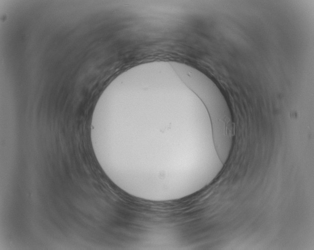 X0000060800672200512082151