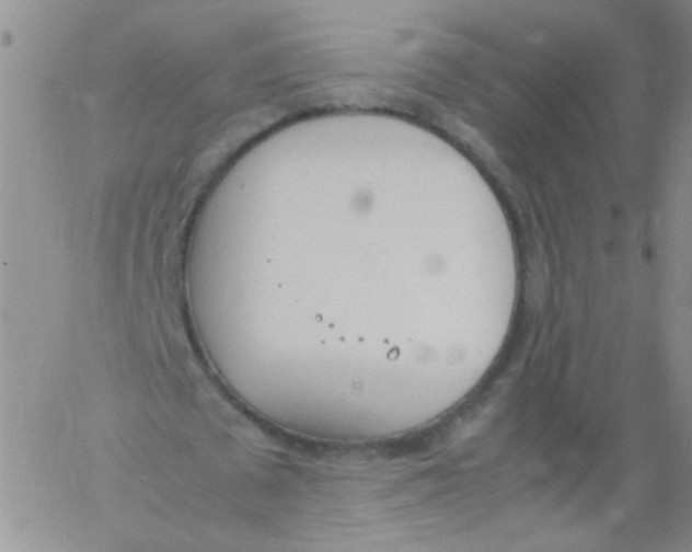 X0000060800673200512082150