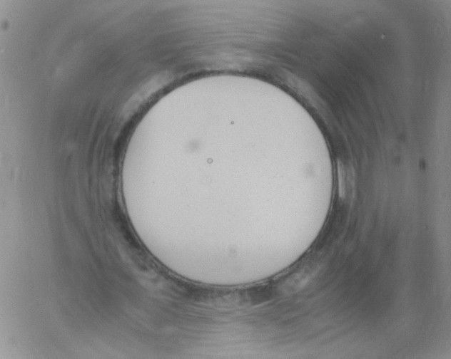 X0000060800675200512082150