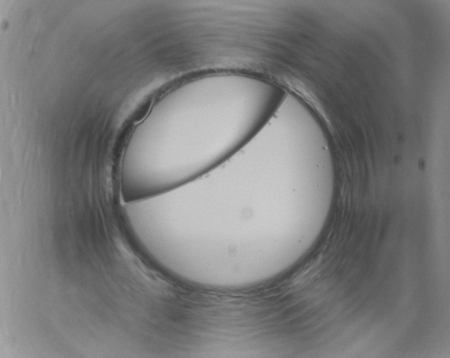 X0000060800676200512082150