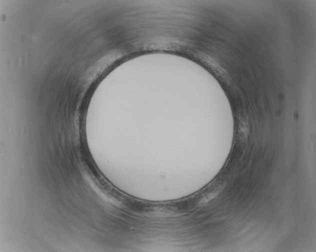 X0000060800678200512082150