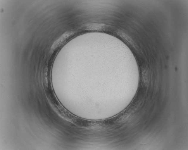 X0000060800682200512082150