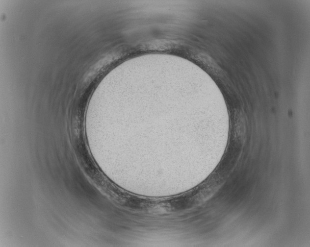 X0000060800683200512082150