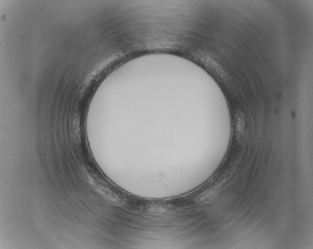 X0000060800684200512082150