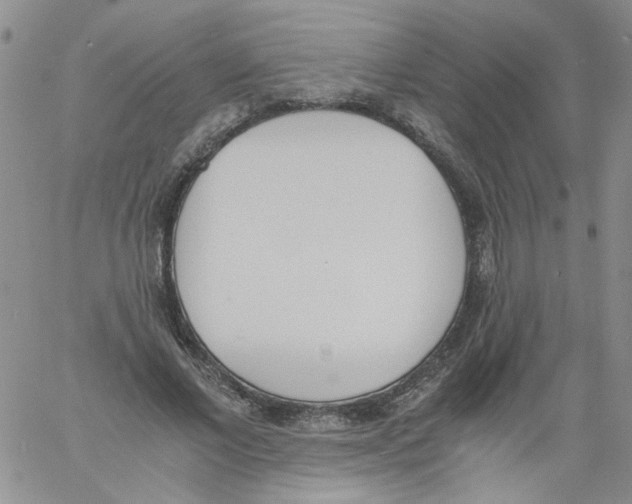 X0000060800685200512082150