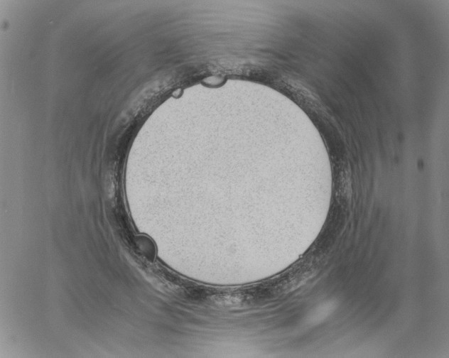 X0000060800687200512082150