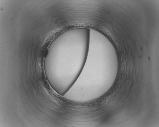 X0000060800688200512082150