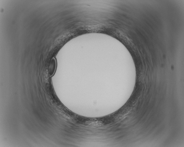 X0000060800689200512082150