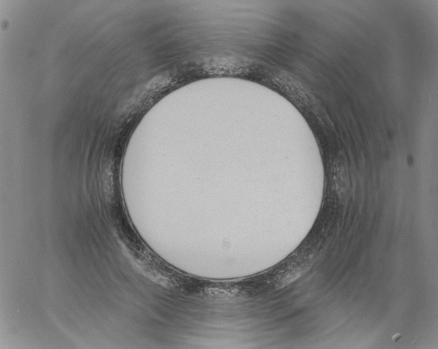 X0000060800690200512082150