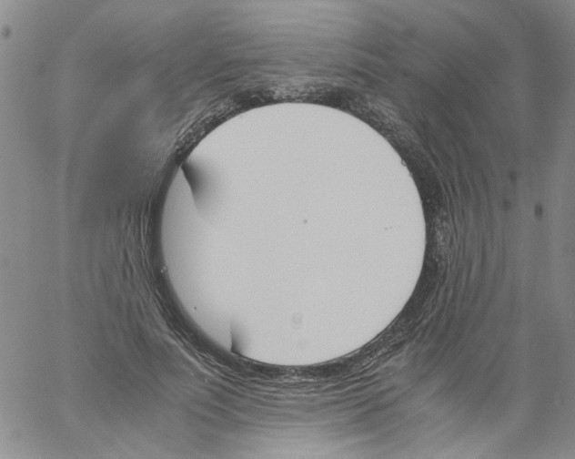 X0000060800691200512082150