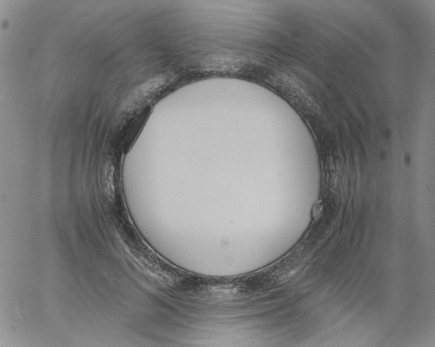 X0000060800692200512082150