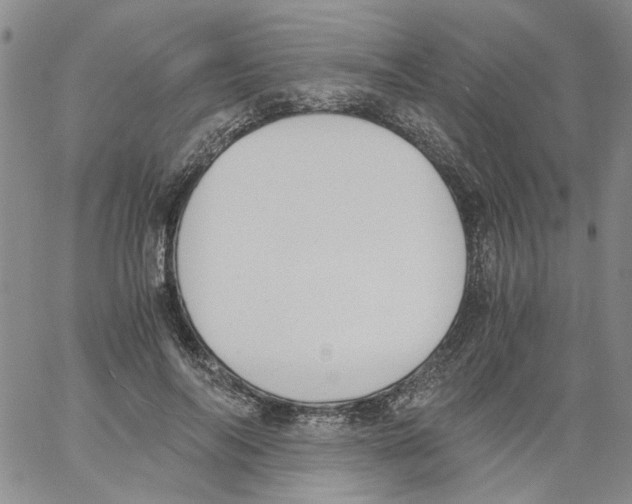 X0000060800694200512082150