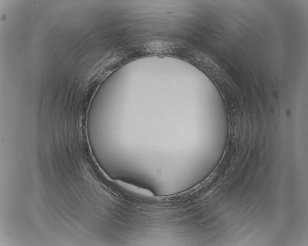 X0000060800696200512082150