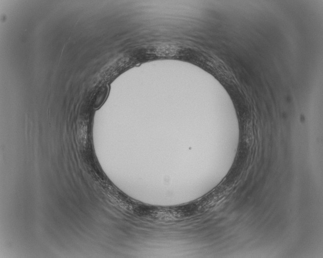 X0000060800697200512082150