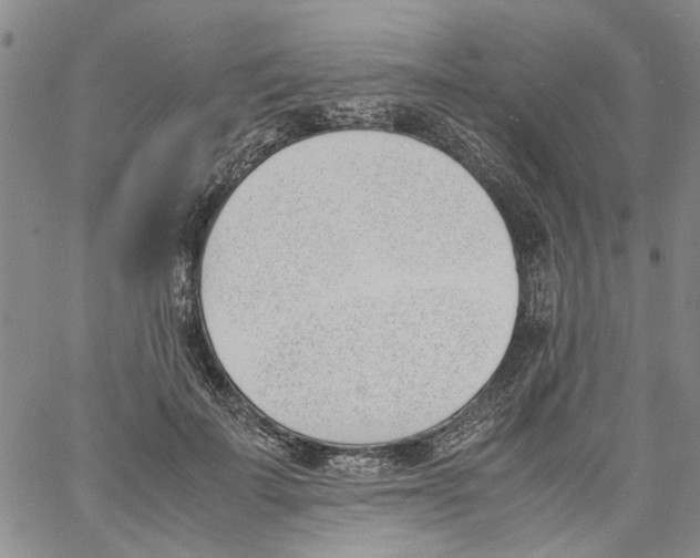 X0000060800699200512082150