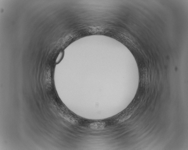 X0000060800700200512082150