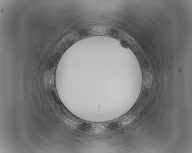 X0000060800701200512082150